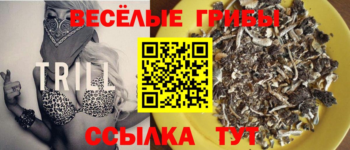 Псилоцибиновые грибы MAGIC MUSHROOMS Рязань