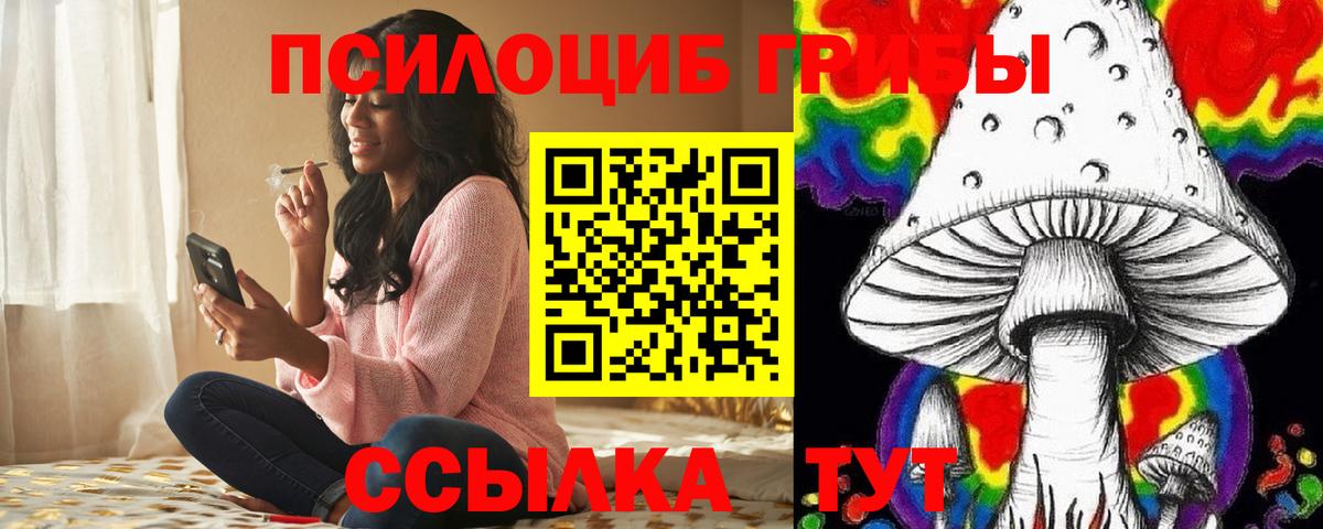 Рязань  Псилоцибиновые грибы Psilocybine cubensis  Вход с VPN  Псилоцибиновые грибы мухоморы 